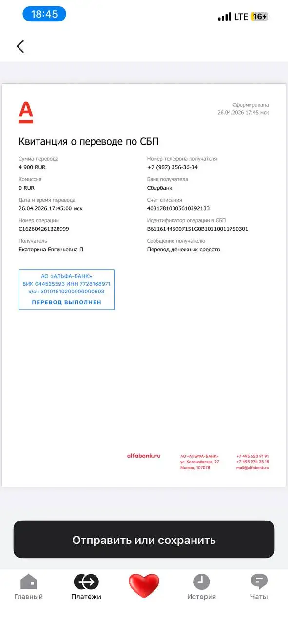 Сбор на операцию и передержку кота Кабачка - Животные в Саратов