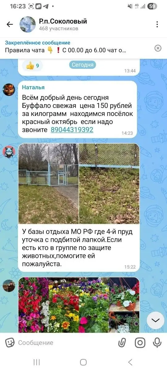 Помощь в доставке утки - Животные в Саратов
