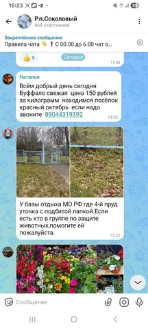 Помощь в доставке утки - Птицеводство в Саратов