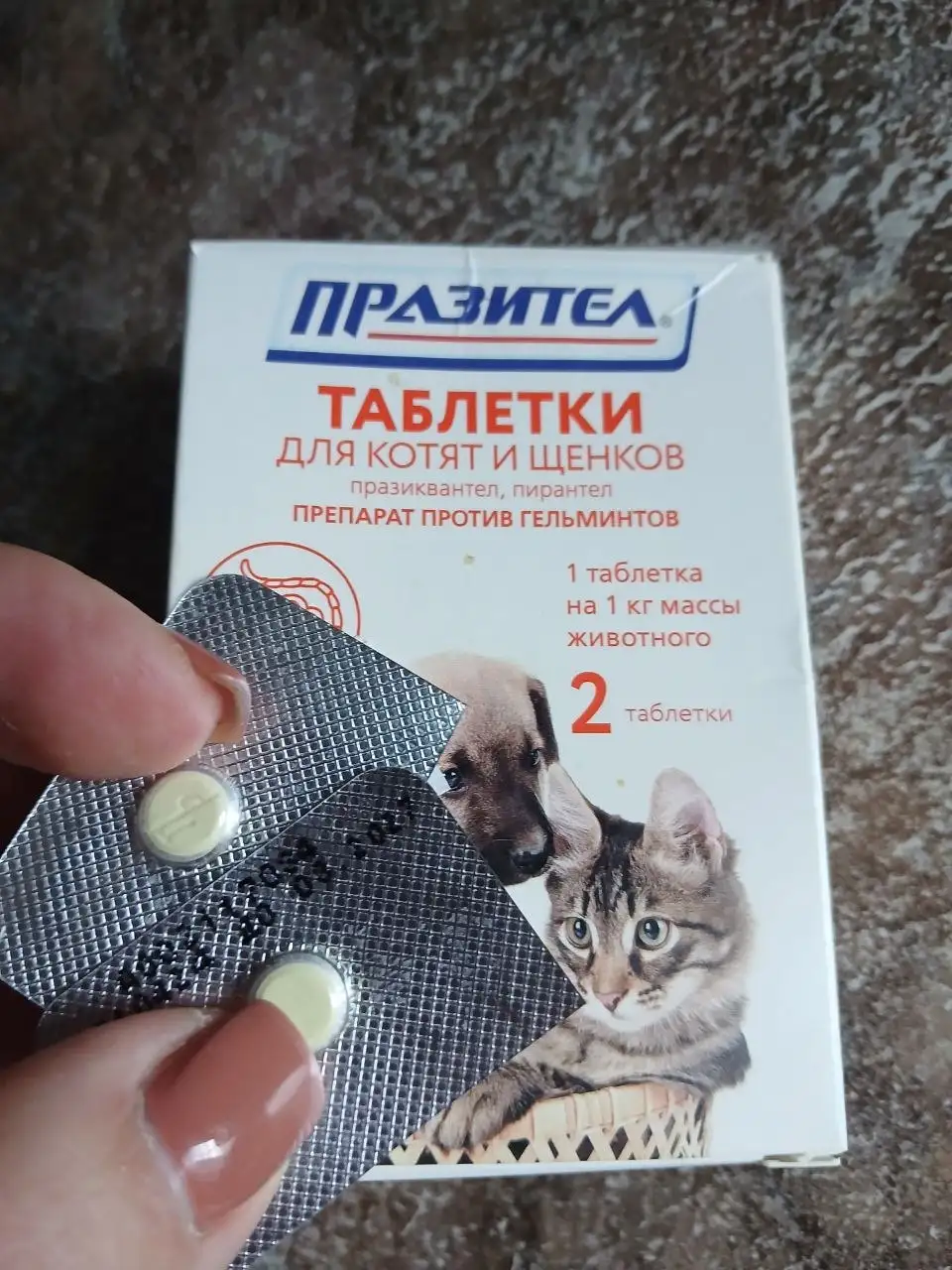 Отдам животных - Животные в Саратов