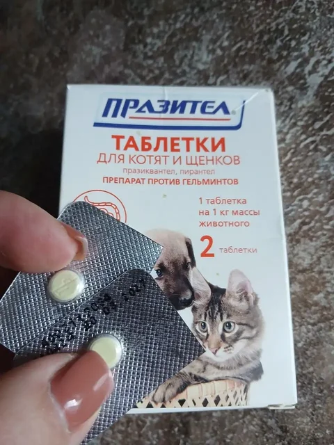 Отдам животных - Птицеводство в Саратов