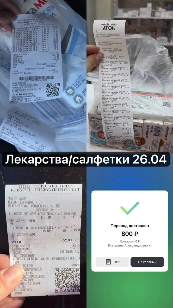 Отчет по собаке Стафу Вите - Благотворительность (Животные) в Саратов