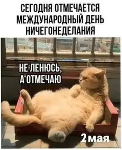 Отчет по сбору для потеряшек - частное объявление в Саратов