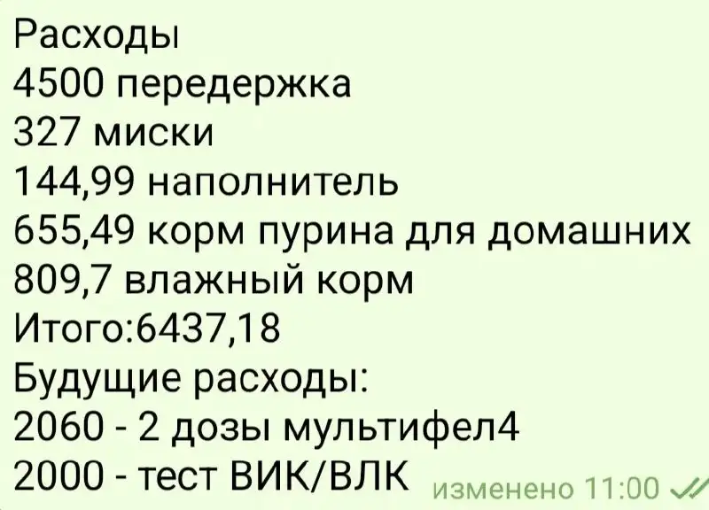 Помощь Симке: сбор на прививки и передержку - Животные в Саратов