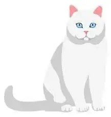 Найден кот/кошка на первой прокатной - Животные в Саратов