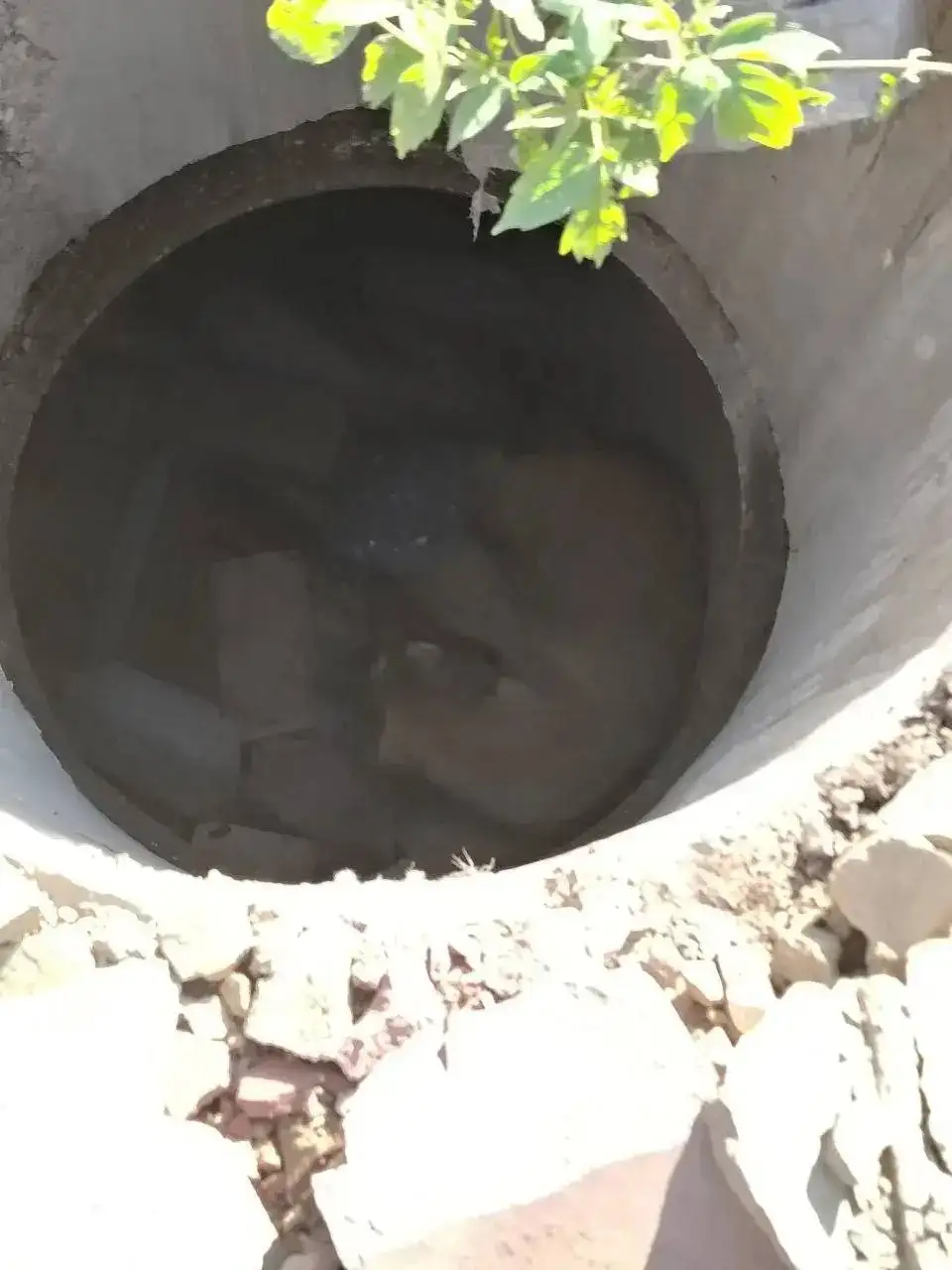 Собака упала в колодец - Видеоигры и приставки в Саратов
