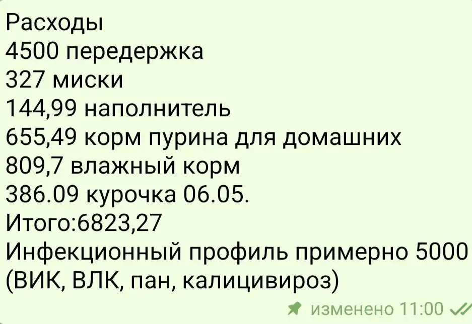 Сбор средств на лечение кошки Симы - Животные в Саратов