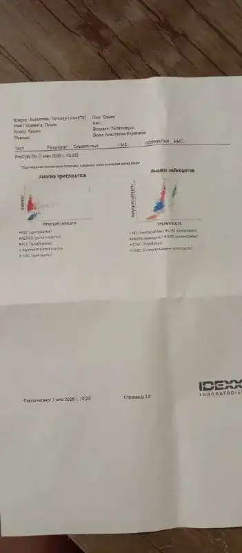 Первичный осмотр животного - Животные в Саратов