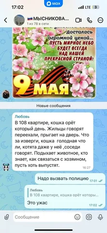 Помощь с потерянными животными - Потерялись/Найдены в Саратов