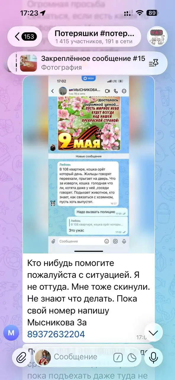 Потерялись домашние животные - Потеряшки (Животные) в Саратов