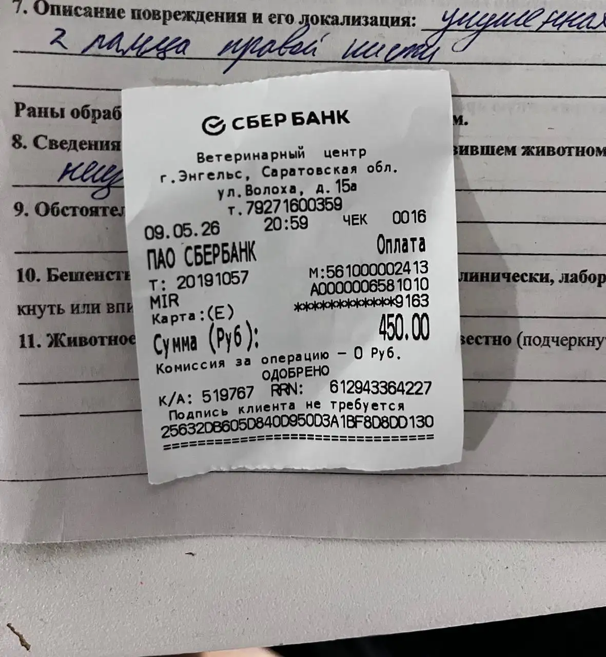 Вечерний прием - Животные в Саратов