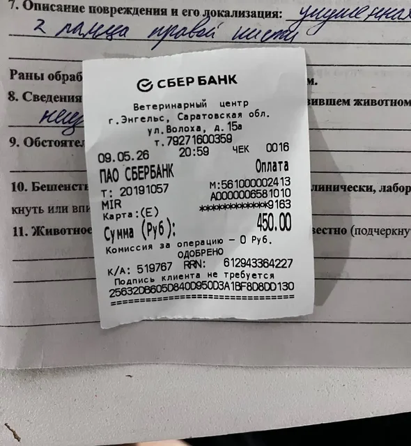 Вечерний прием - Потерялись/Найдены в Саратов
