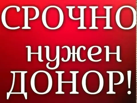 Требуется кот-донор в Саратове - Потерялись/Найдены в Саратов