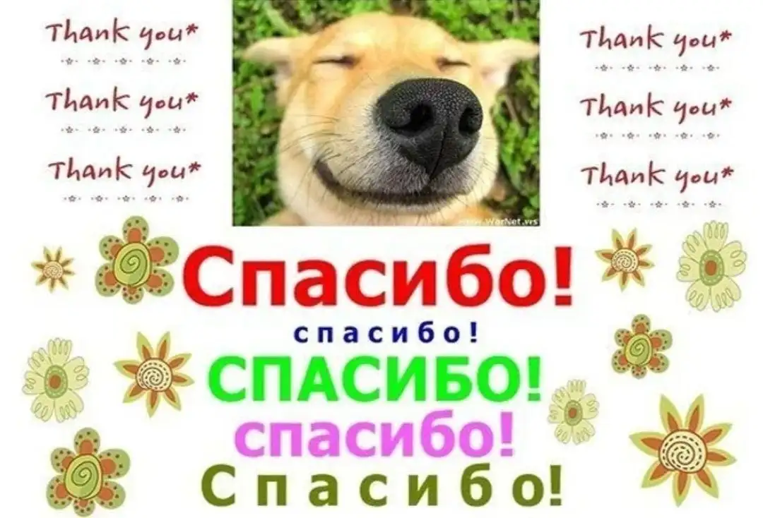 Сбор на передержку животных - Животные в Саратов