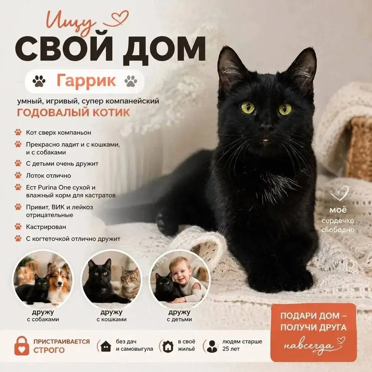 Потеряшки в Саратове - Потеряшки (Животные) в Саратов