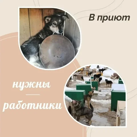 Срочно требуется работник в ночную смену - Уборка в Саратов