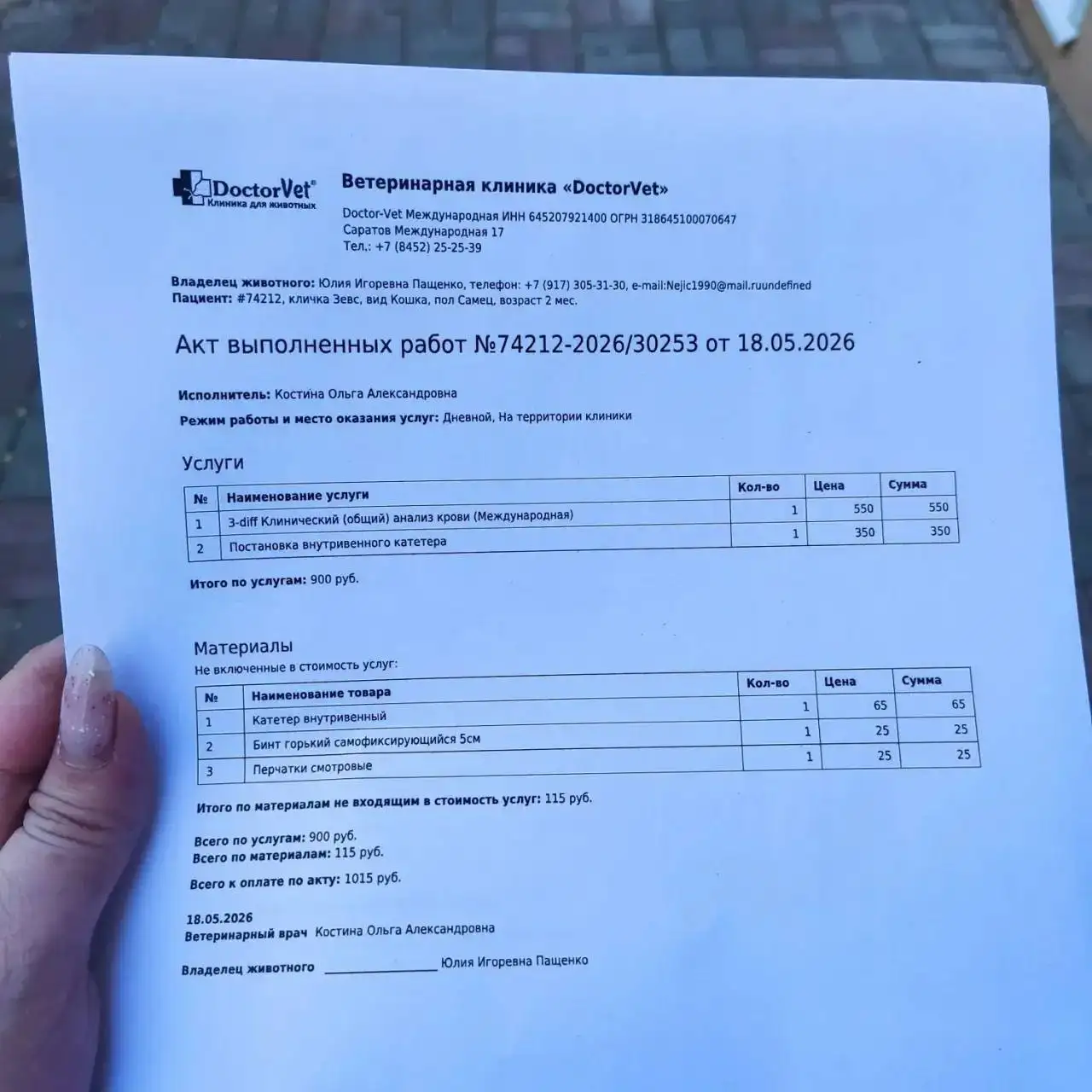 Сбор средств на лечение 9 котят - Сбор средств на лечение (Животные) в Саратов