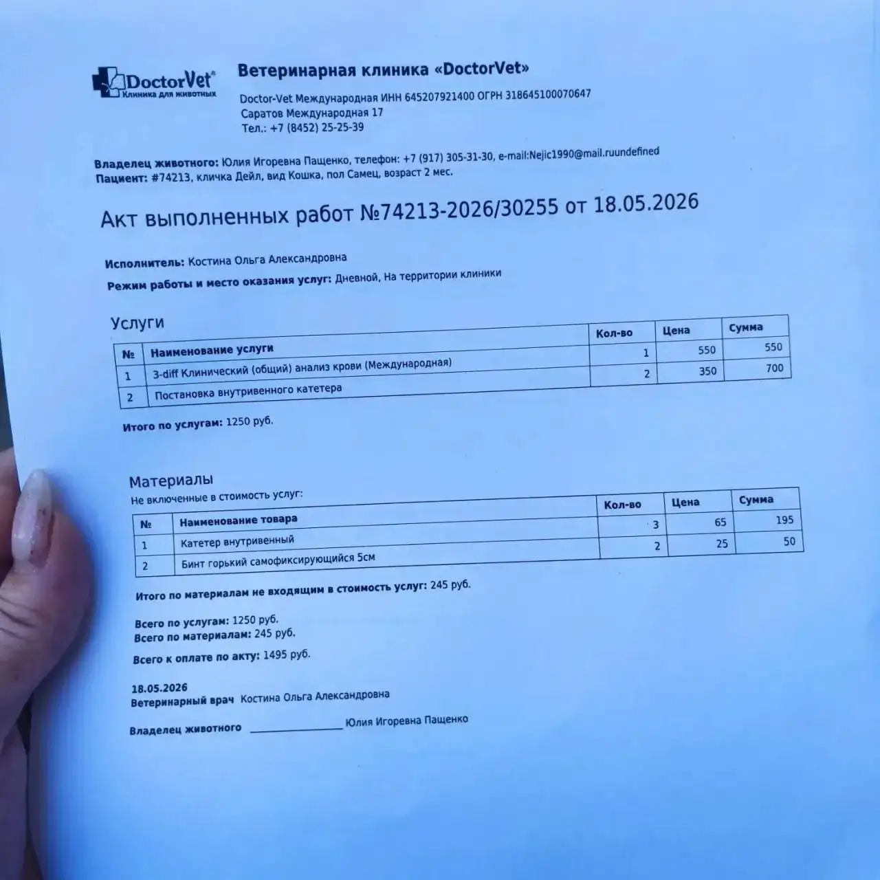 Сбор средств на лечение 9 котят - Сбор средств на лечение (Животные) в Саратов