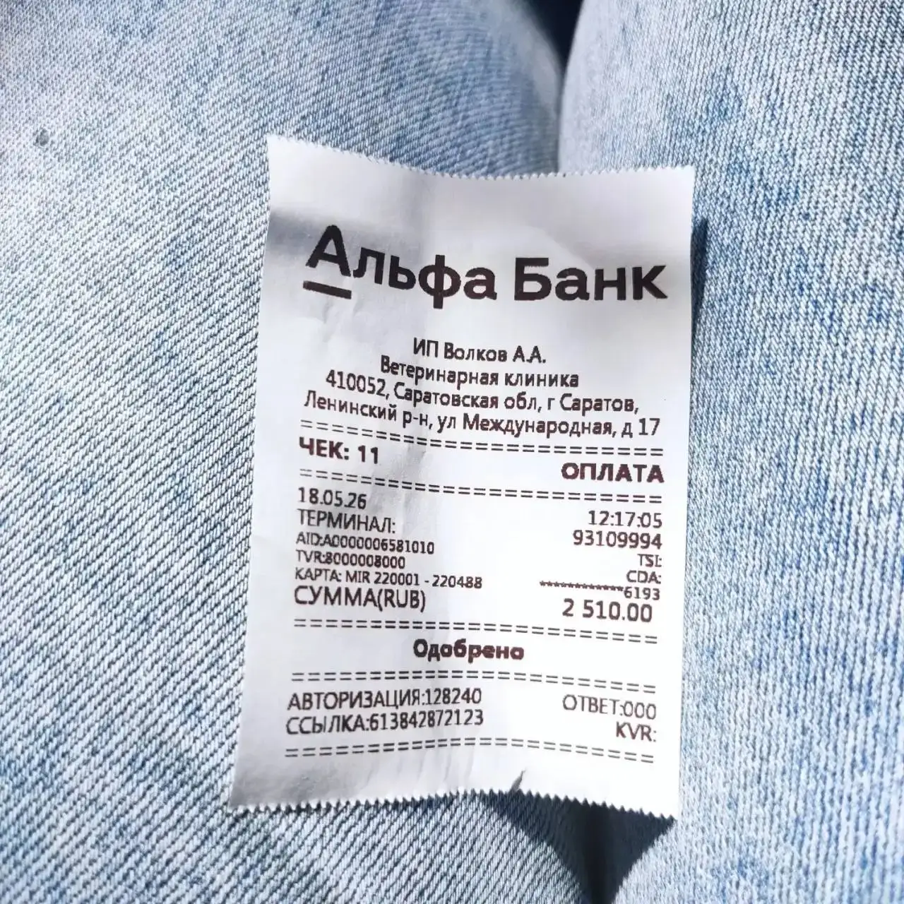 Сбор средств на лечение 9 котят - Сбор средств на лечение (Животные) в Саратов
