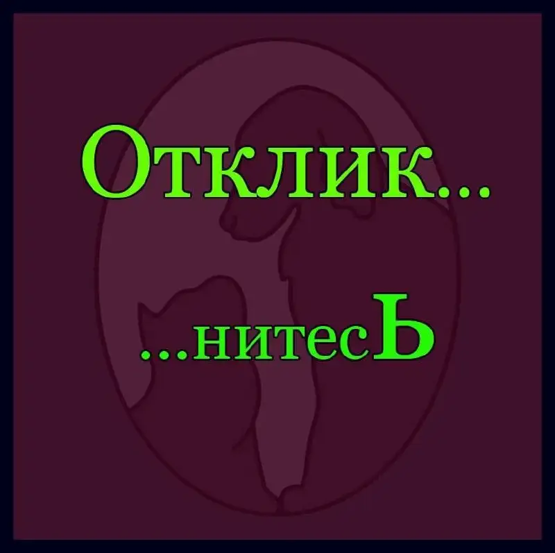 Срочно нужен дом кошке с котятами - Животные в Калининск