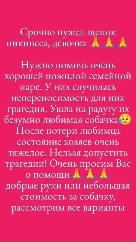 Потеряшка: просьба о помощи - Потеряшки (Животные) в Саратов