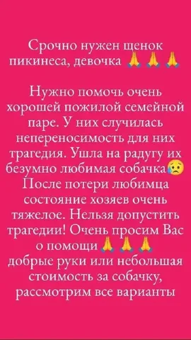 Потеряшка: просьба о помощи - Ветеринария в Саратов