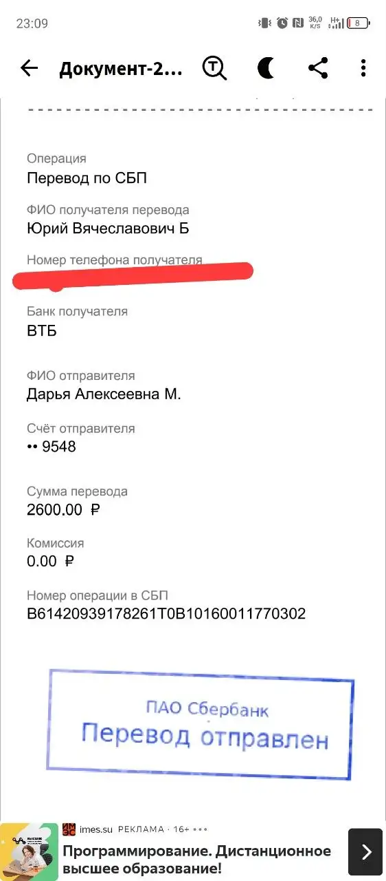 Финансовый отчет по спасению Барсы - Благотворительность (Животные) в Саратов