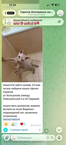 Потеряшка - Животные в Саратов