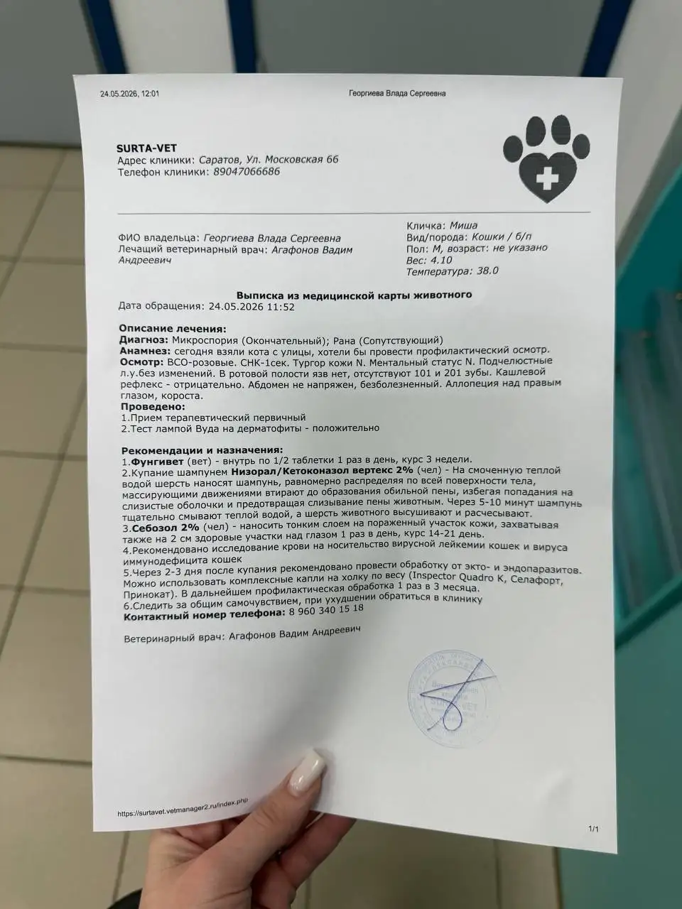 Помощь котику Мише в лечении от лишая - Благотворительность (Животные) в Саратов