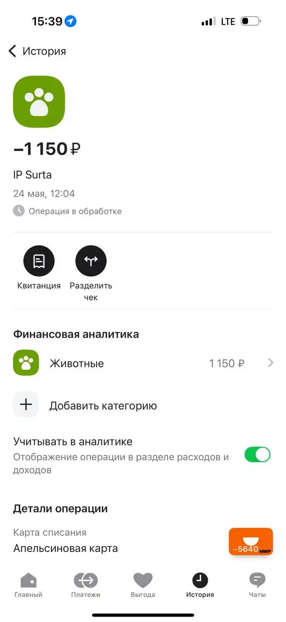 Помощь котику Мише в лечении от лишая - Благотворительность (Животные) в Саратов