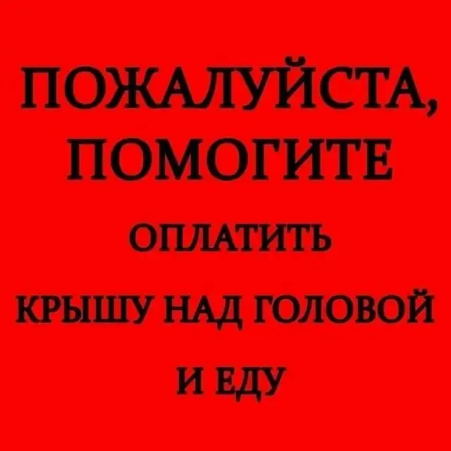 Сбор на корм и передержку для Нюши - Благотворительность для животных (Животные) в Саратов