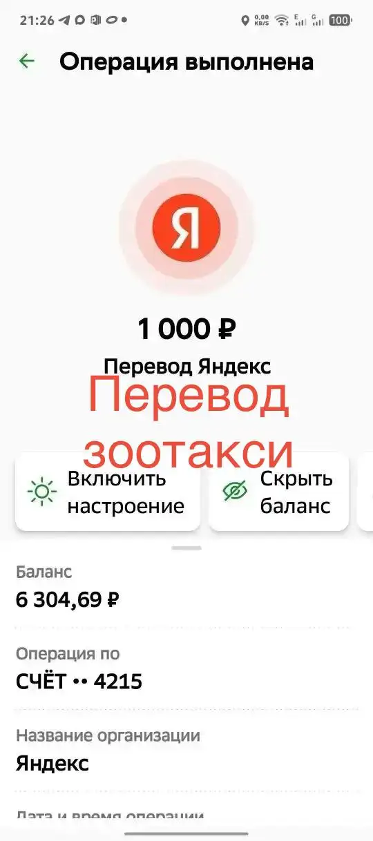 Сбор на лечение для Босса - Сбор средств на лечение (Животные) в Саратов