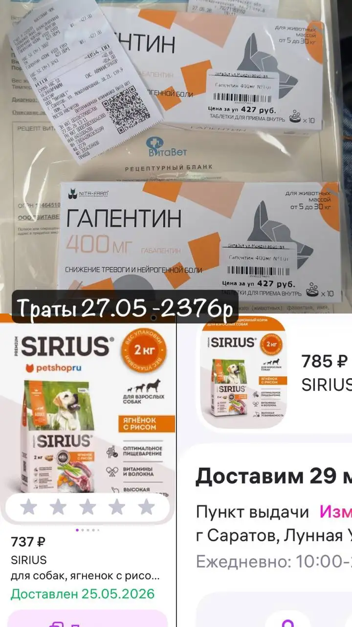 Сбор средств на лечение и передержку собаки Виты - Животные в Саратов