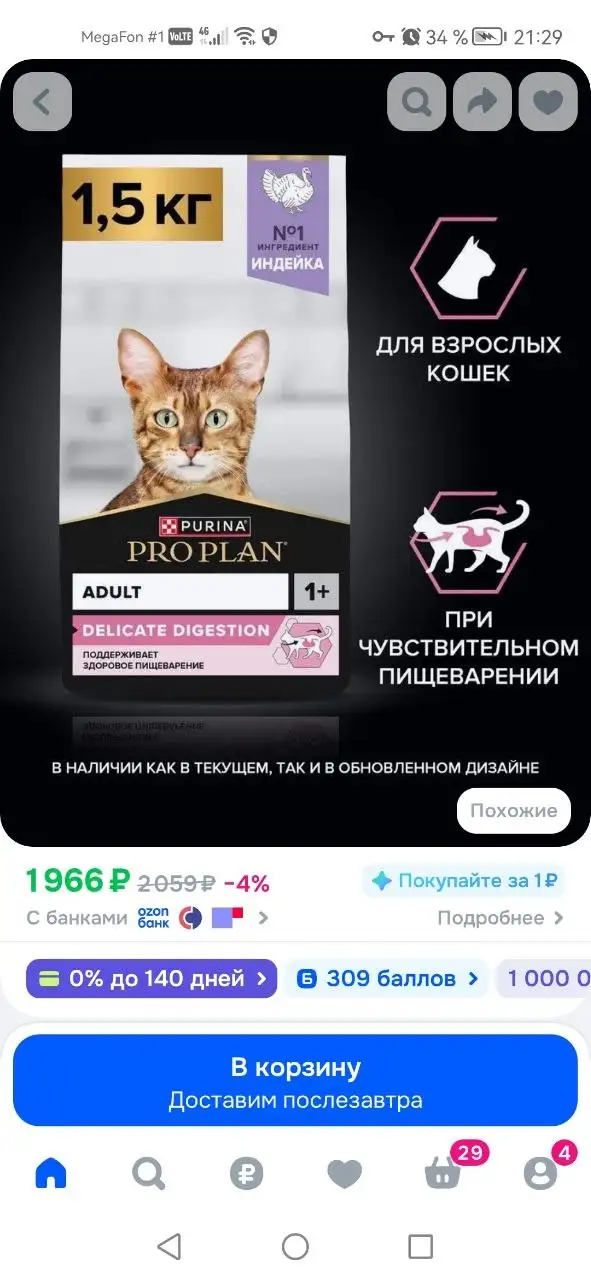 Сбор для Нюши на корм и передержку - Благотворительность, животные (Животные) в Саратов
