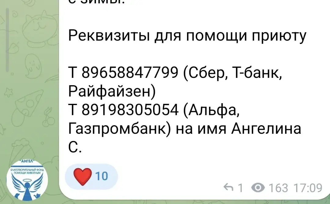 Реквизиты приюта для животных - Приют для животных (Животные) в Саратов