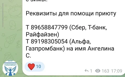 Реквизиты приюта для животных - Потерянные животные в Саратов