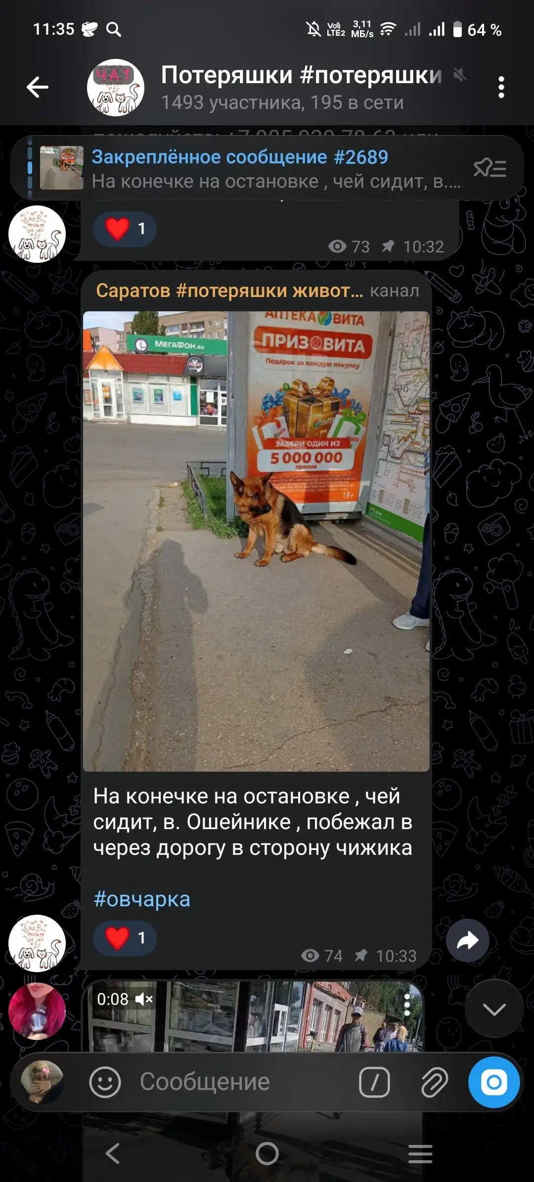 Потеряшка: не он? - Потеряшки (Животные) в Саратов