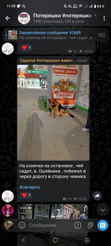 Потеряшка: не он? - Корм для птиц в Саратов
