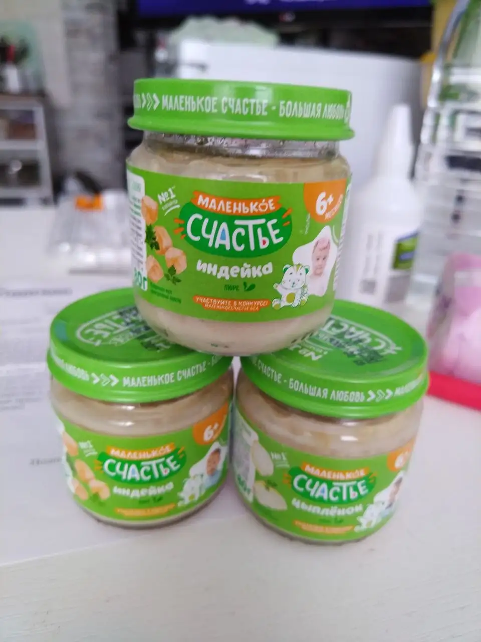 Срочный сбор для кота - Коты (Животные) в Саратов