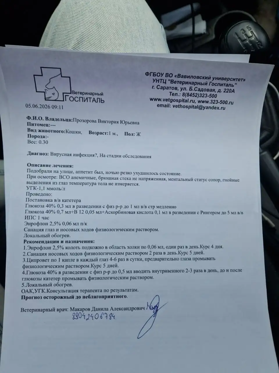 Помощь в лечении котенка - Животные в Саратов