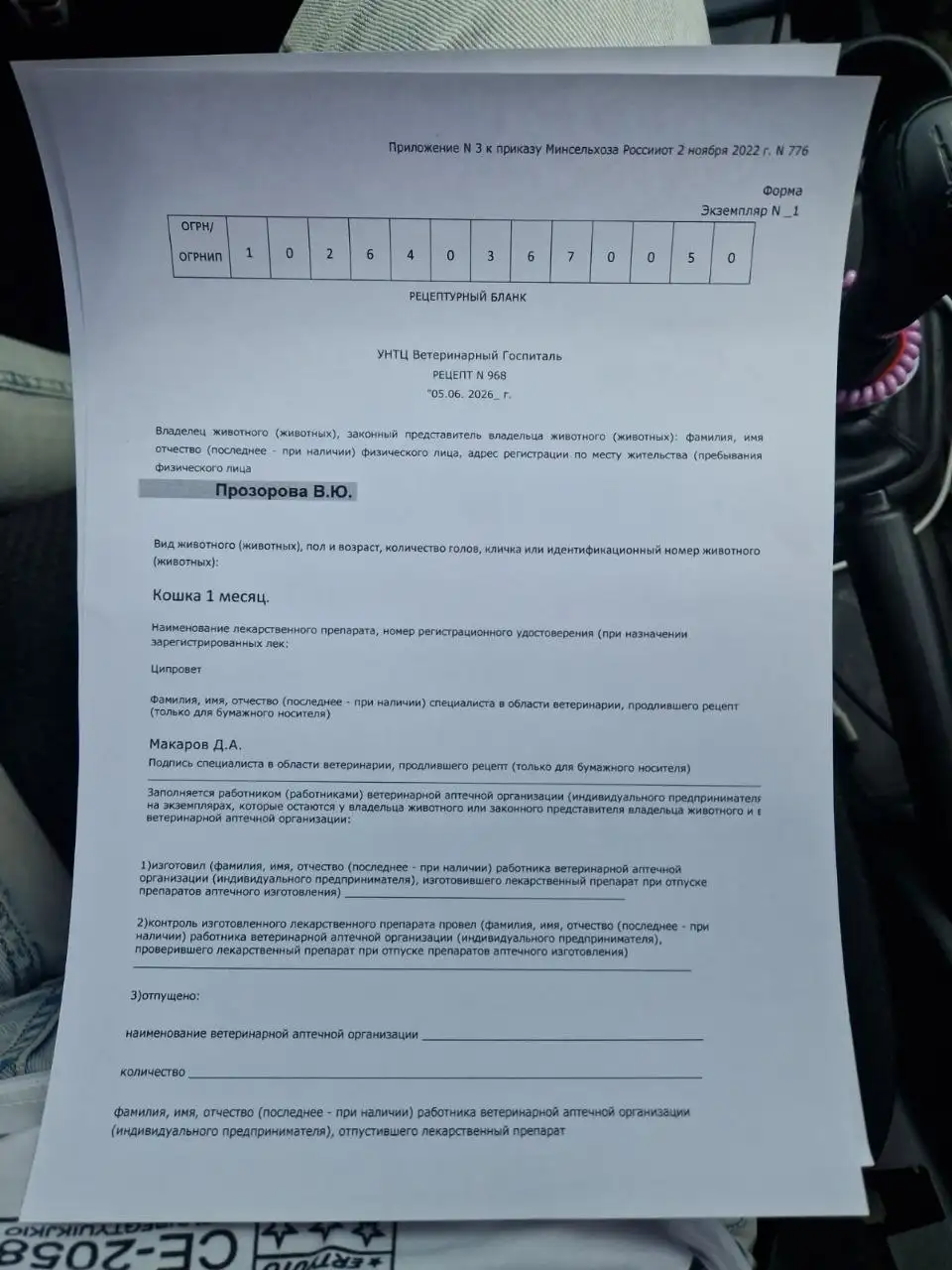Помощь в лечении котенка - Животные в Саратов