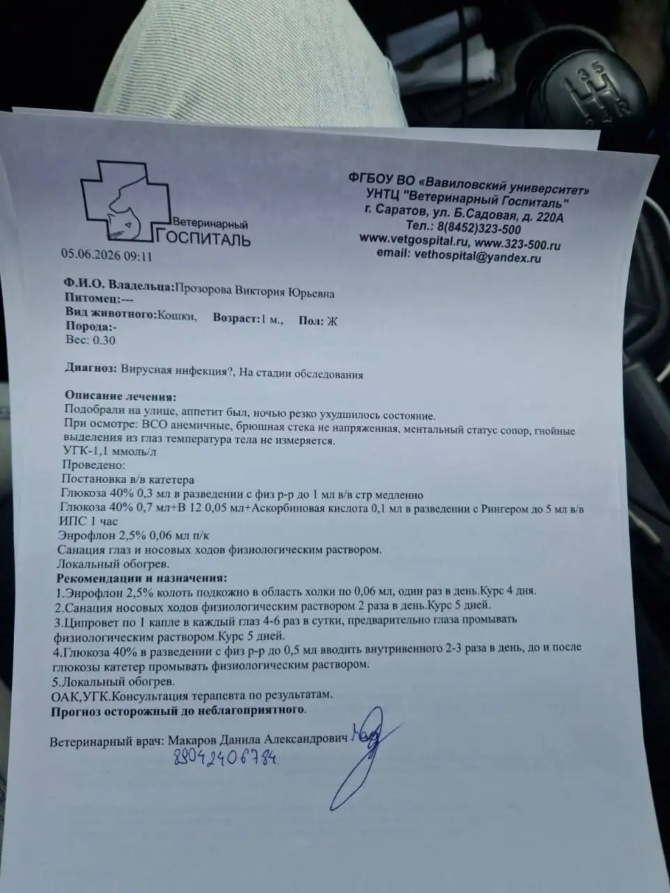 Котенок требует помощи - нужен стационар - Животные в Саратов