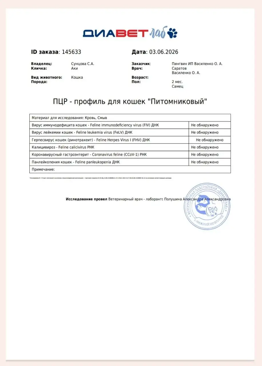 Отчет по сбору для Аки - Животные в Саратов