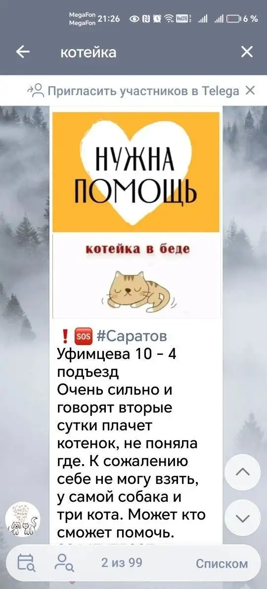 Сбор на спасение котенка - Кошки (Животные) в Саратов