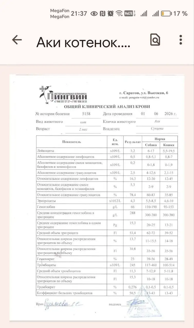 Отчёт по сбору для АКИ - помощь животным (Животные) в Саратов