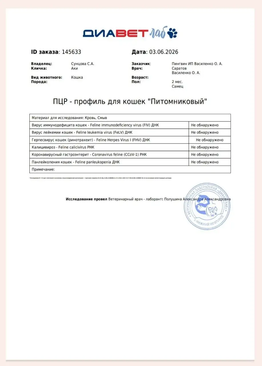 Отчёт по сбору для АКИ - помощь животным (Животные) в Саратов