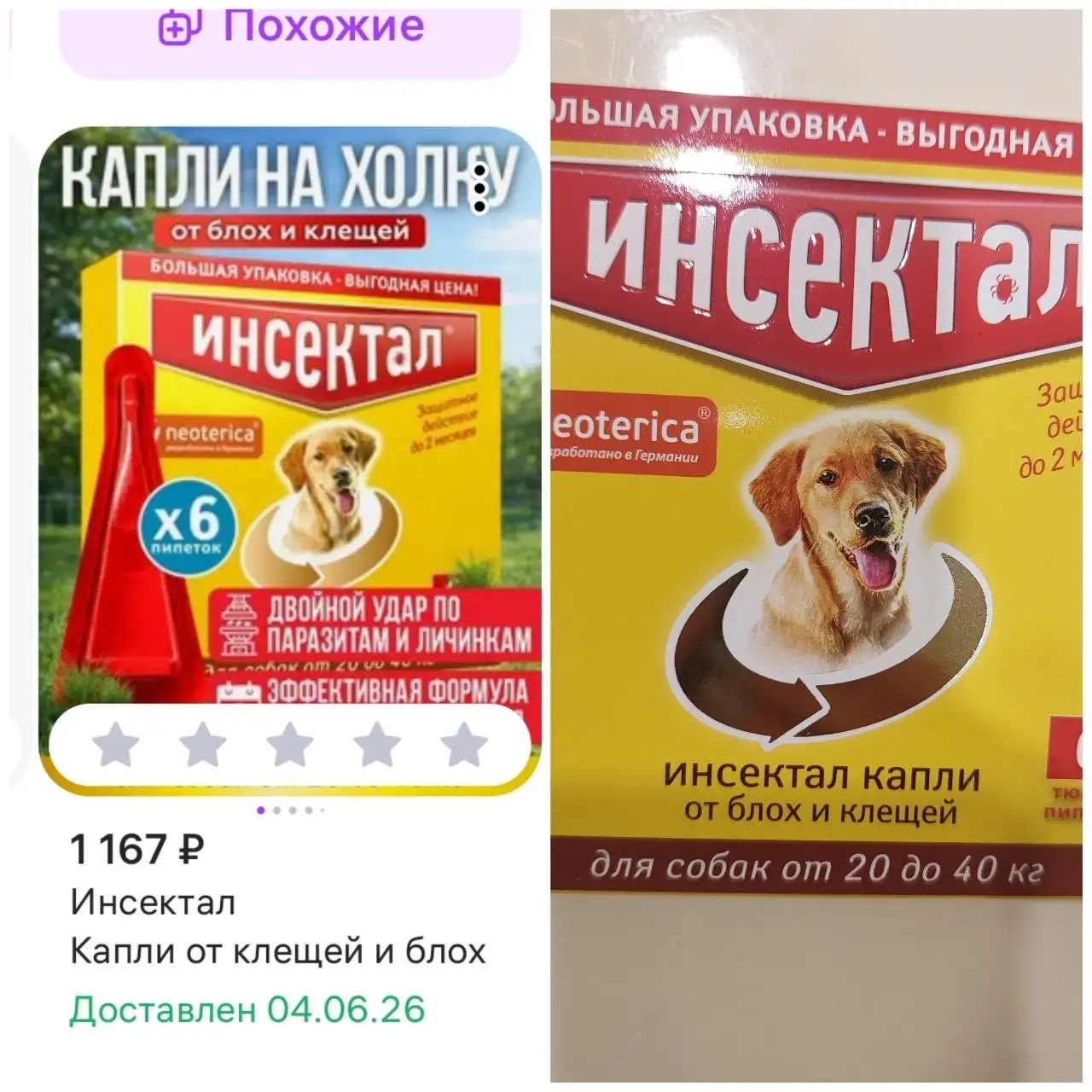 Благодарность за помощь в оплате передержки животных - Благотворительность (Животные) в Саратов