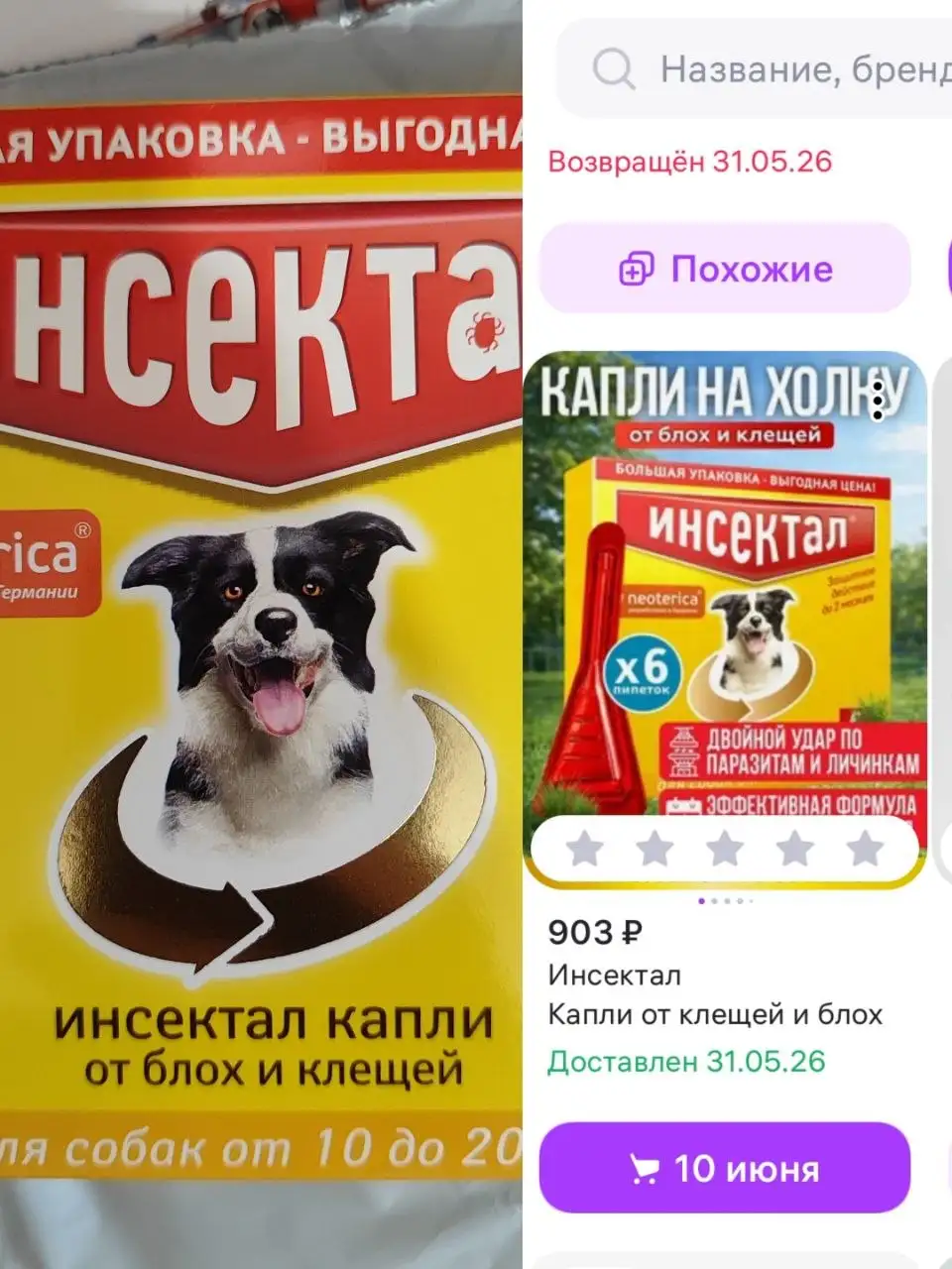 Сбор на передержку и лечение собак - Животные в Саратов