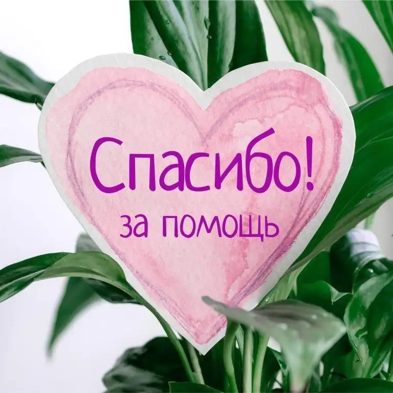 Потеряшки - Хобби и отдых в Саратов