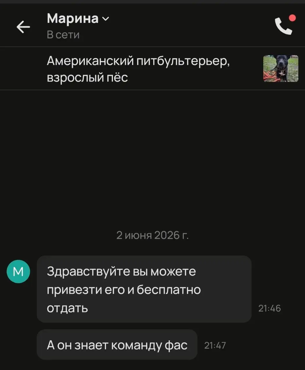 Внимание: Осторожно с пристройством собак - Собаки (Животные) в Саратов